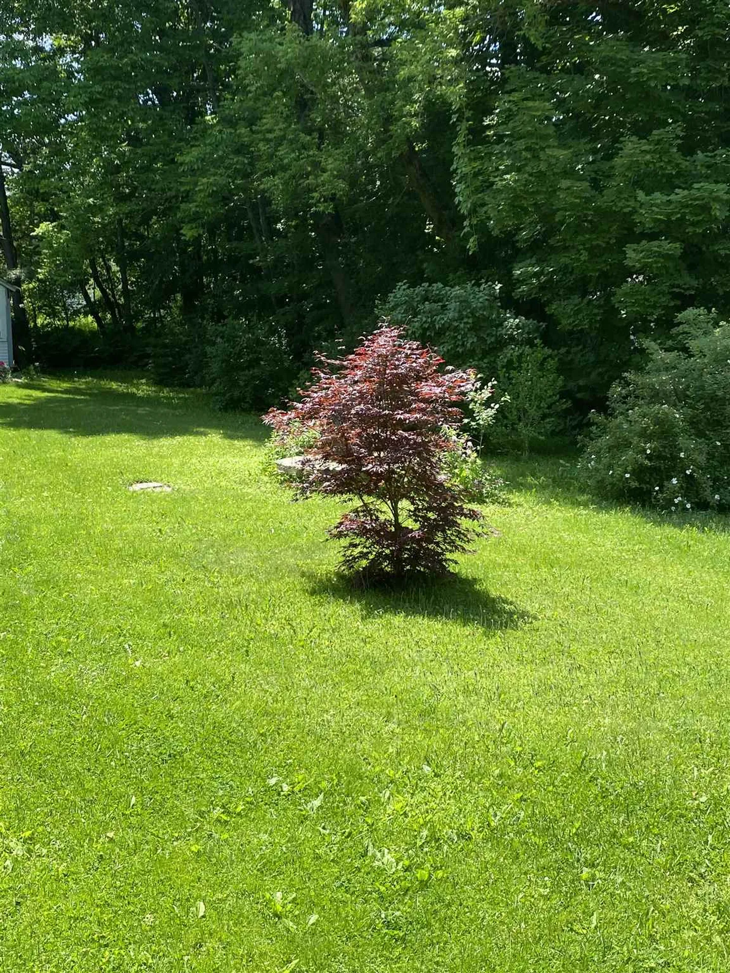 47 East Gilson Avenue Hartford VT 05059