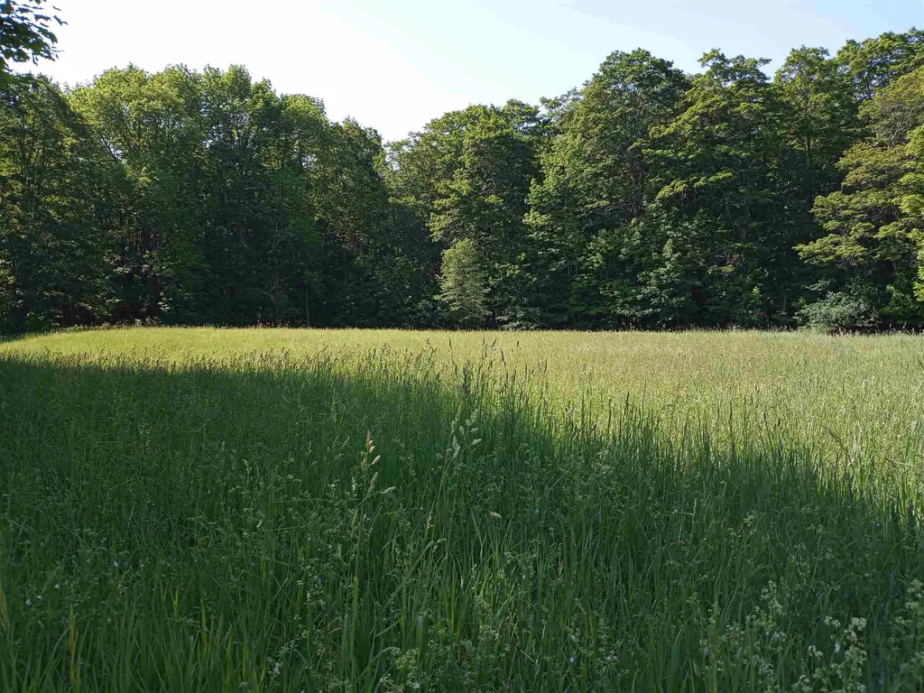 00 Clark Camp Road Cornish NH 03745