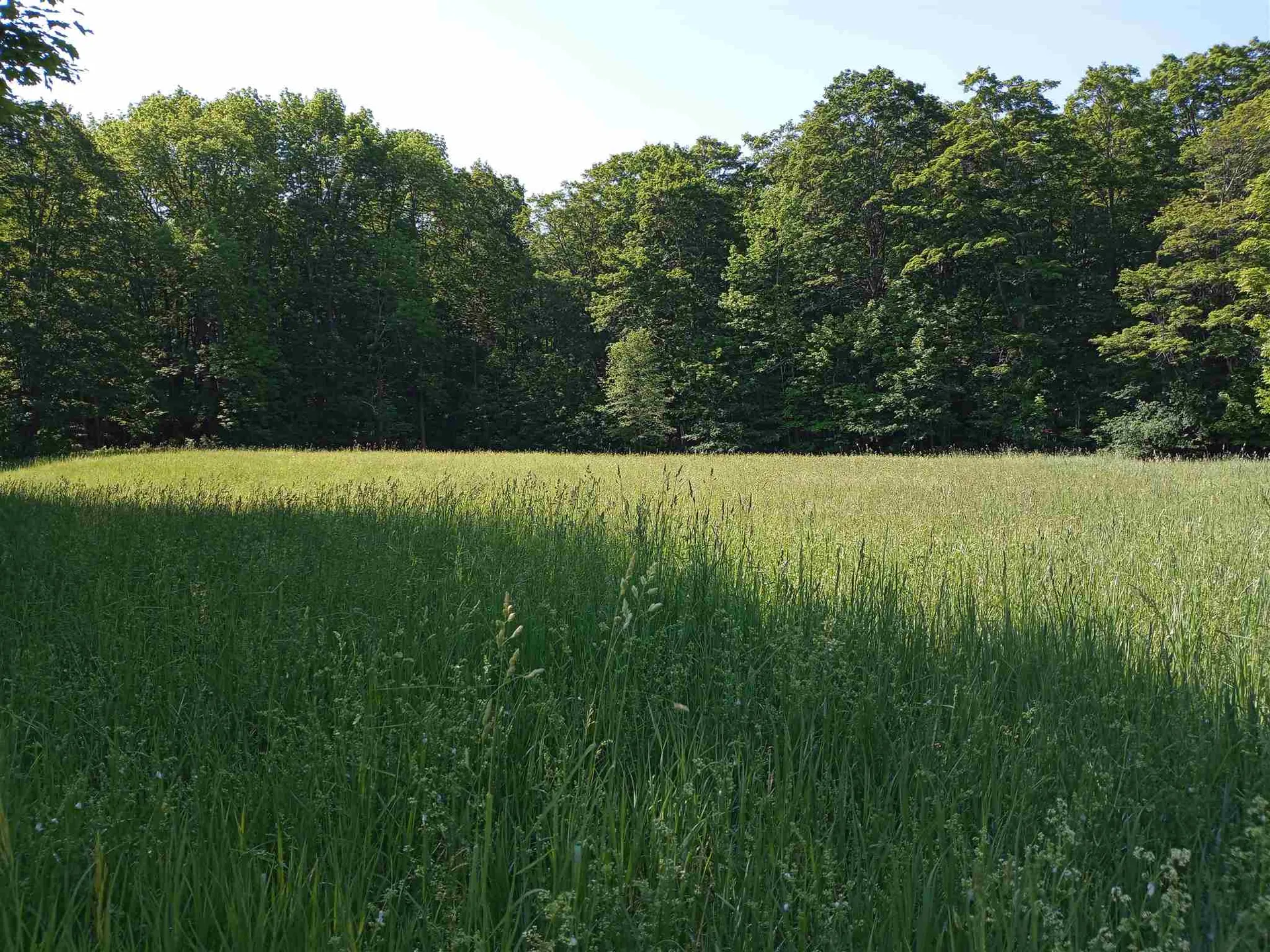 00 Clark Camp Road Cornish NH 03745