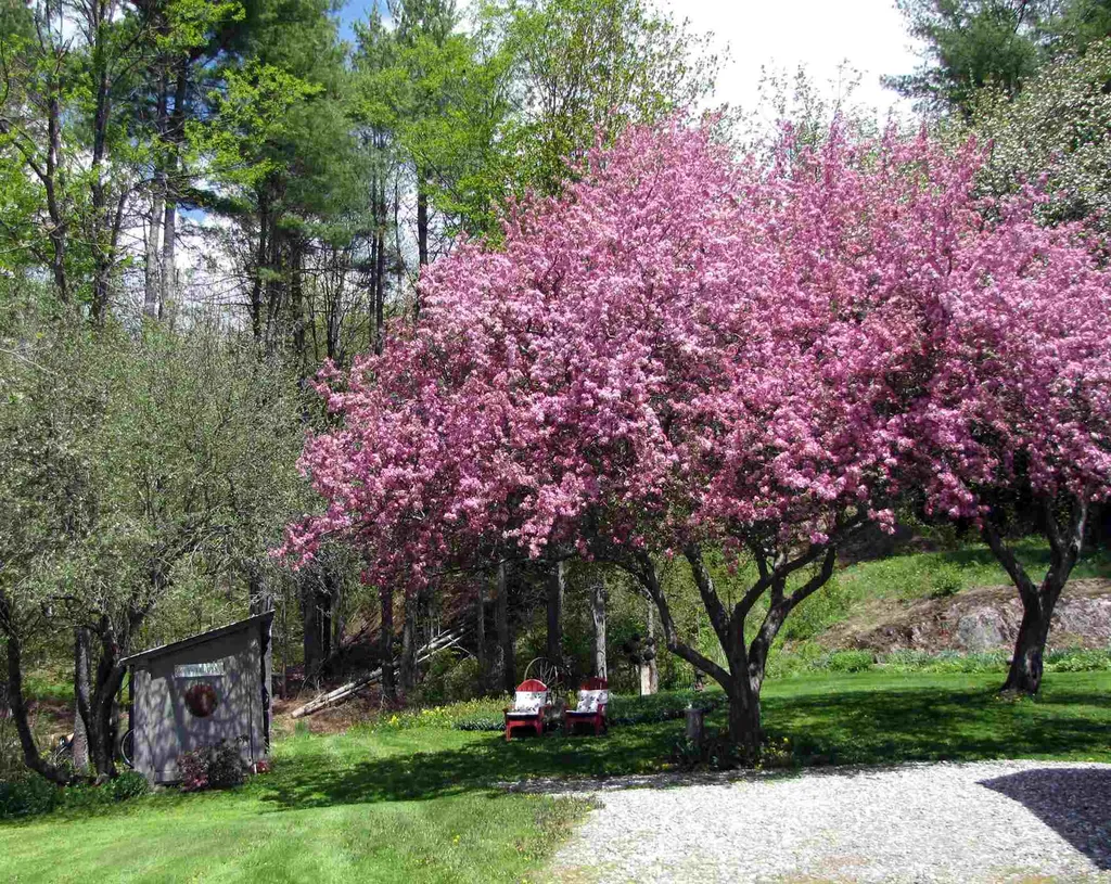 491 Noyes Farm Road Hyde Park VT 05655