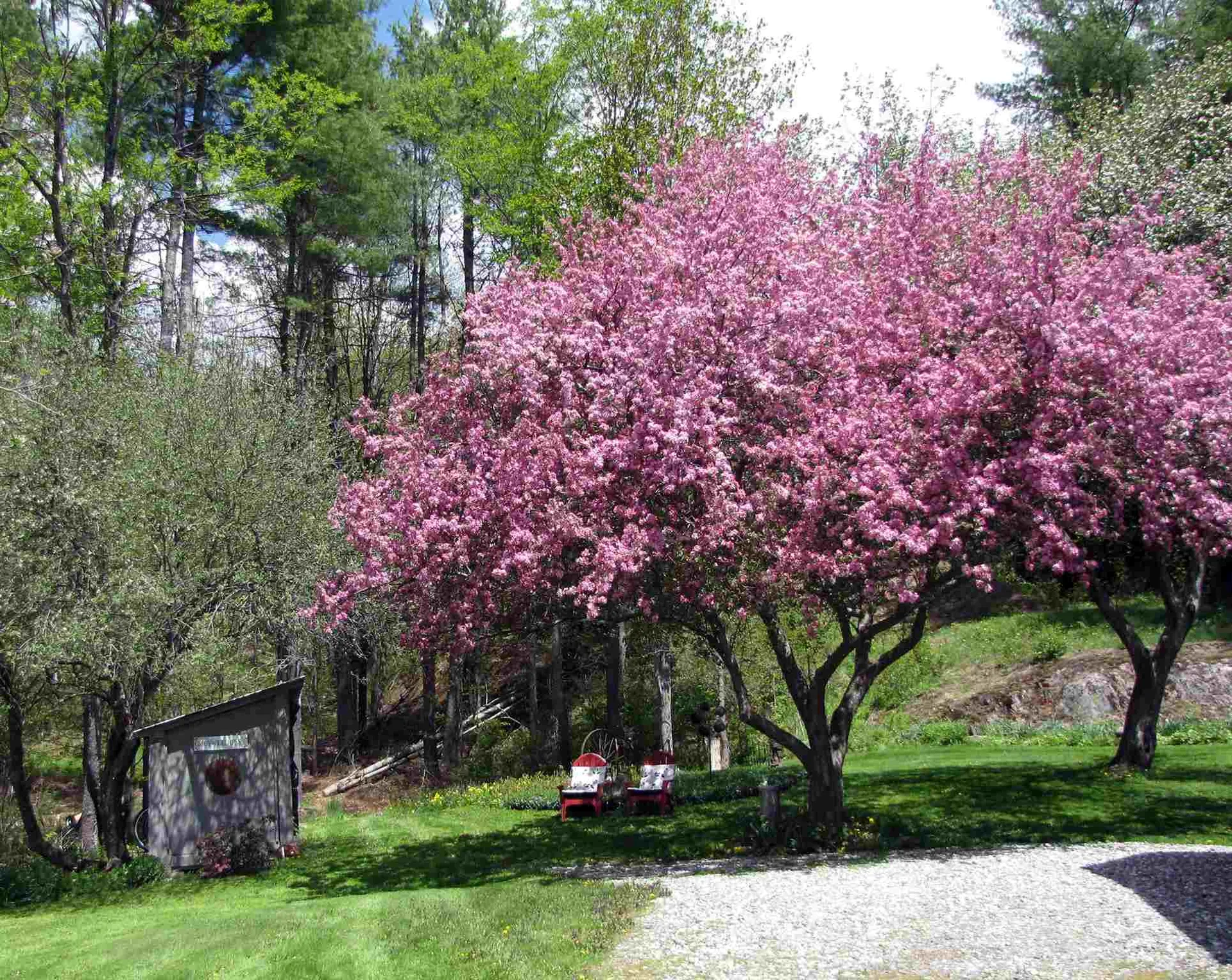 491 Noyes Farm Road Hyde Park VT 05655