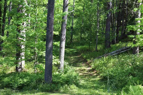 491 Noyes Farm Road Hyde Park VT 05655