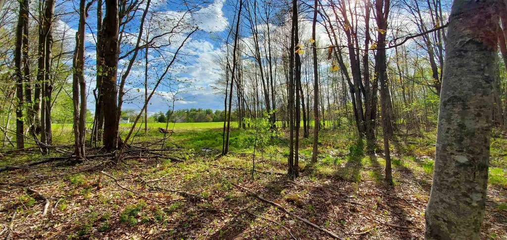 Lot 5-5 Tebbetts Road Rochester NH 03867