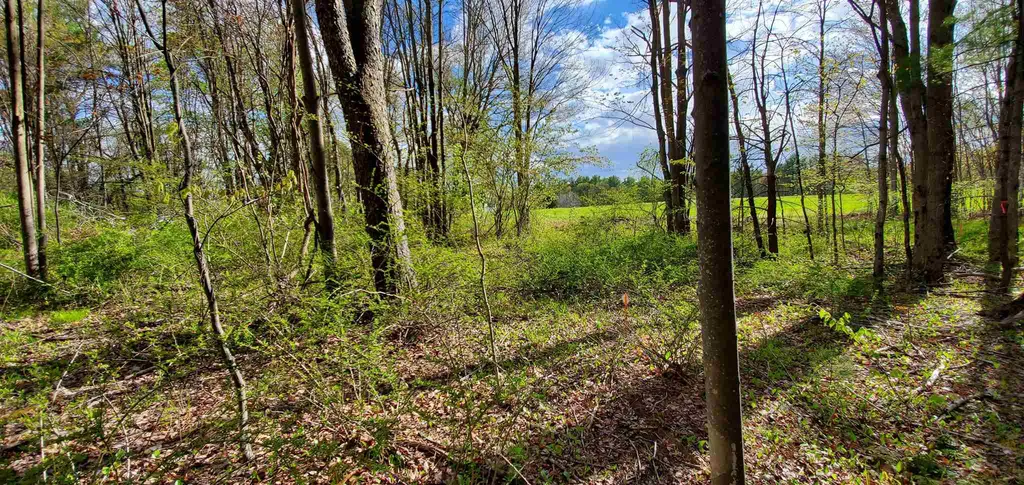Lot 5-5 Tebbetts Road Rochester NH 03867