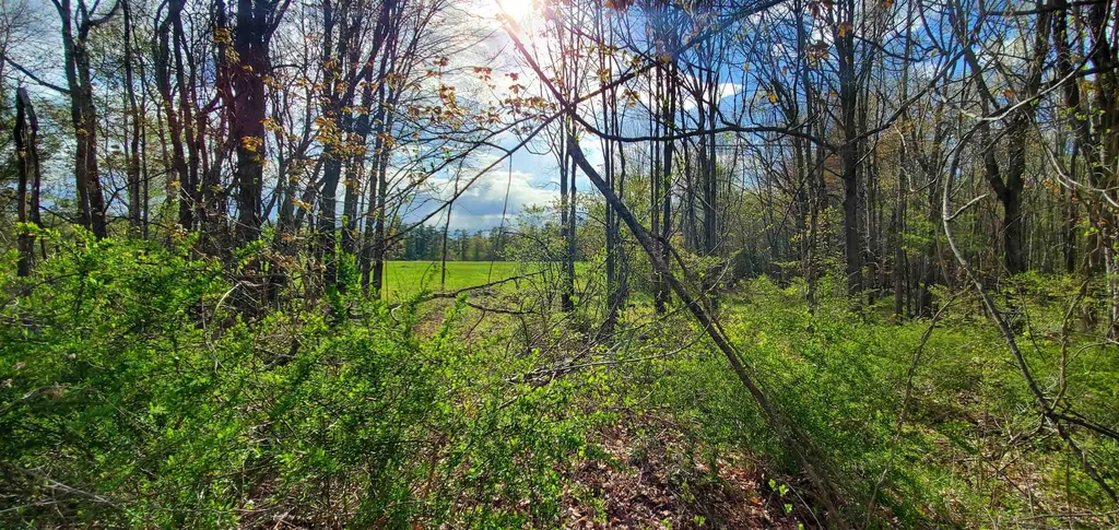 Lot 5-5 Tebbetts Road Rochester NH 03867