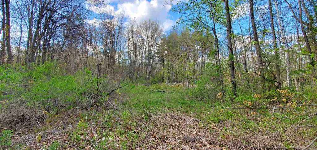 Lot 5-5 Tebbetts Road Rochester NH 03867