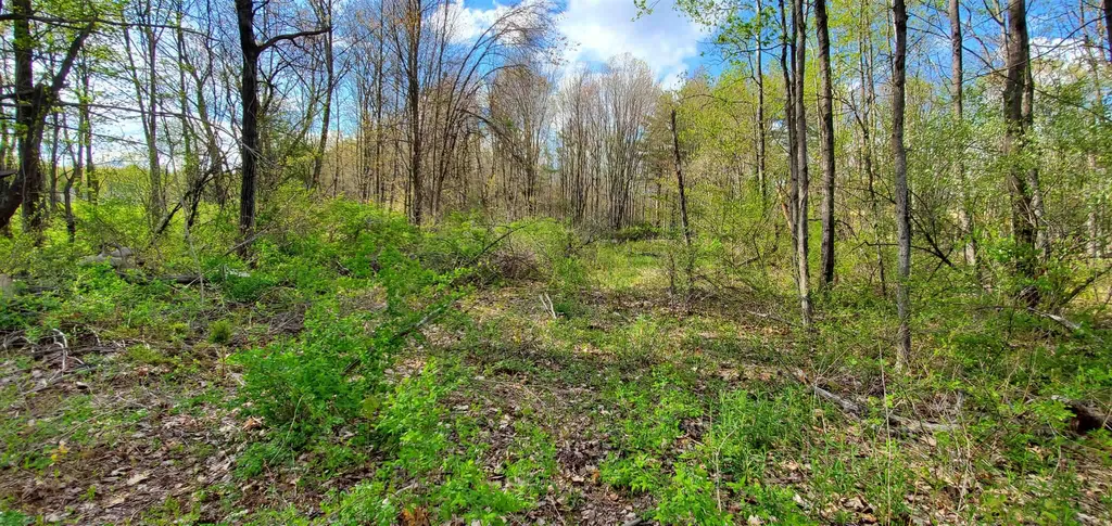 Lot 5-5 Tebbetts Road Rochester NH 03867