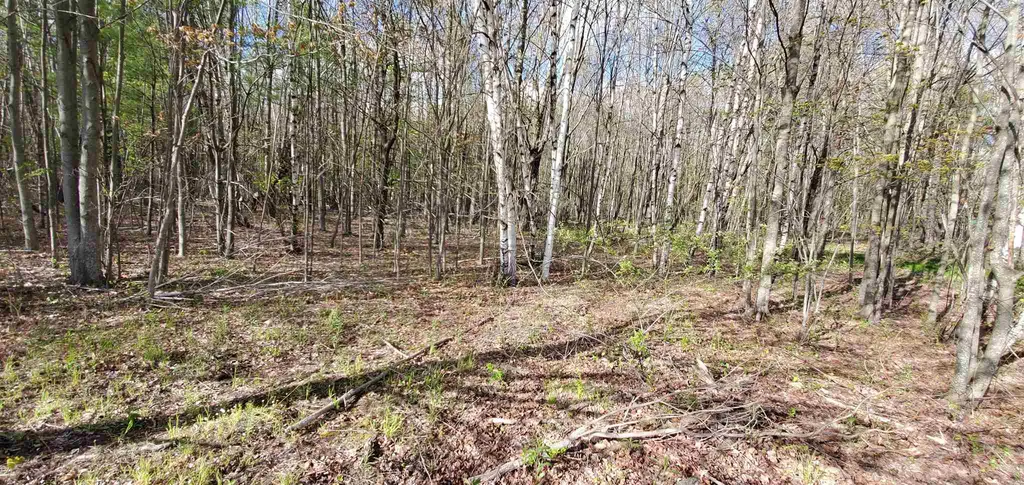 Lot 5-5 Tebbetts Road Rochester NH 03867
