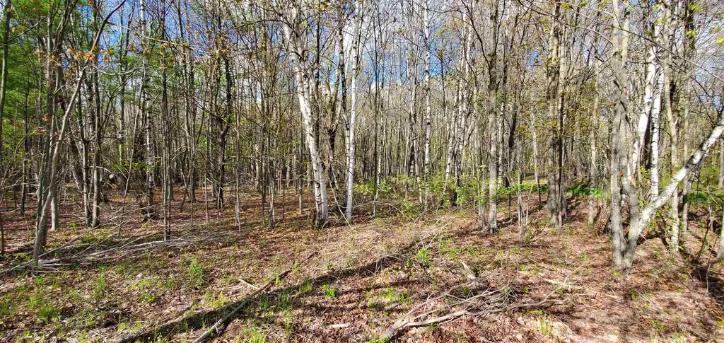 Lot 5-5 Tebbetts Road Rochester NH 03867