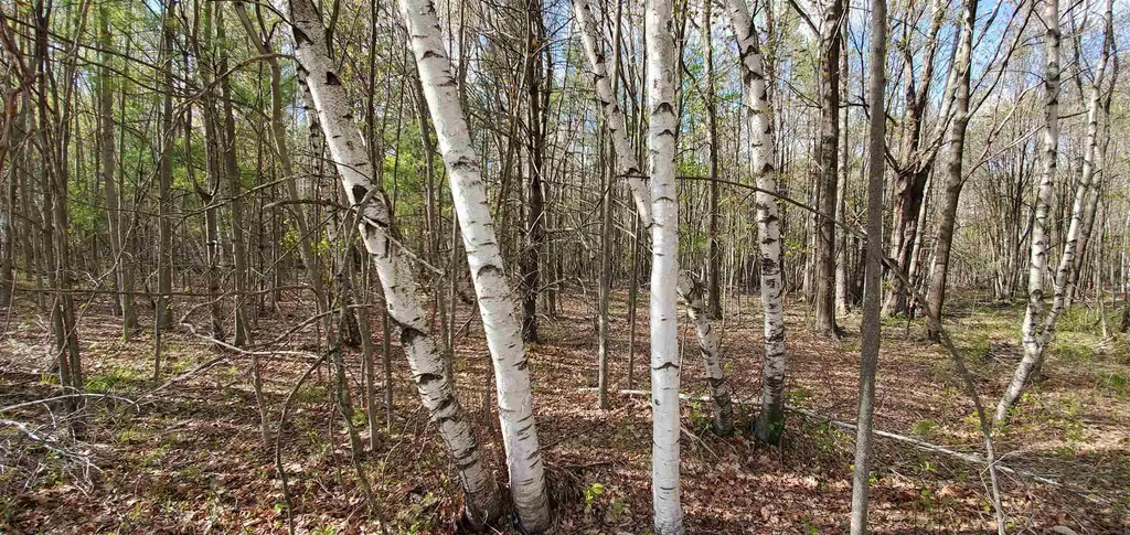 Lot 5-5 Tebbetts Road Rochester NH 03867