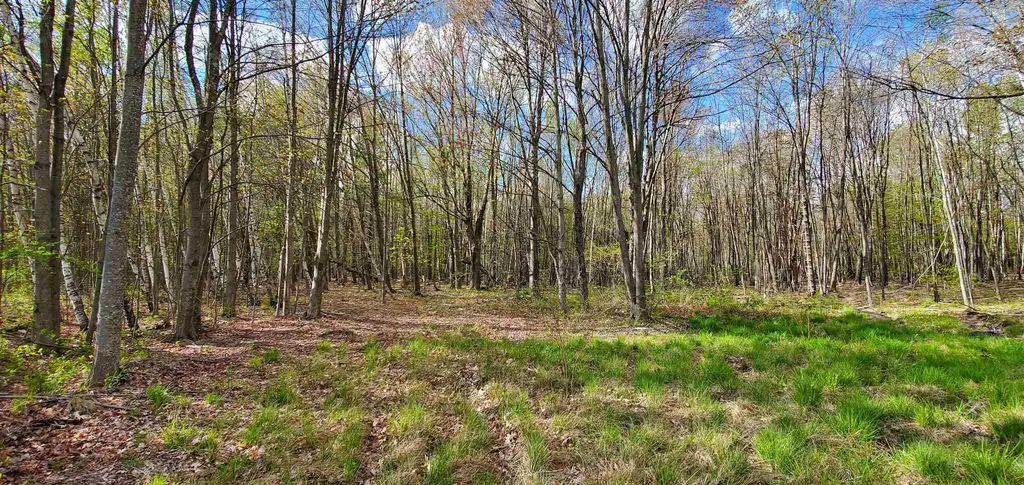 Lot 5-5 Tebbetts Road Rochester NH 03867