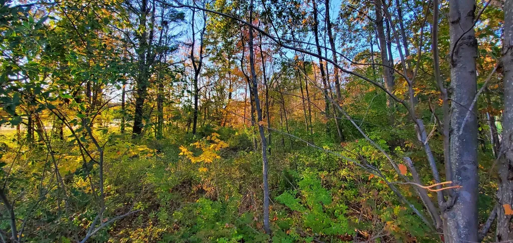 Lot 5-5 Tebbetts Road Rochester NH 03867