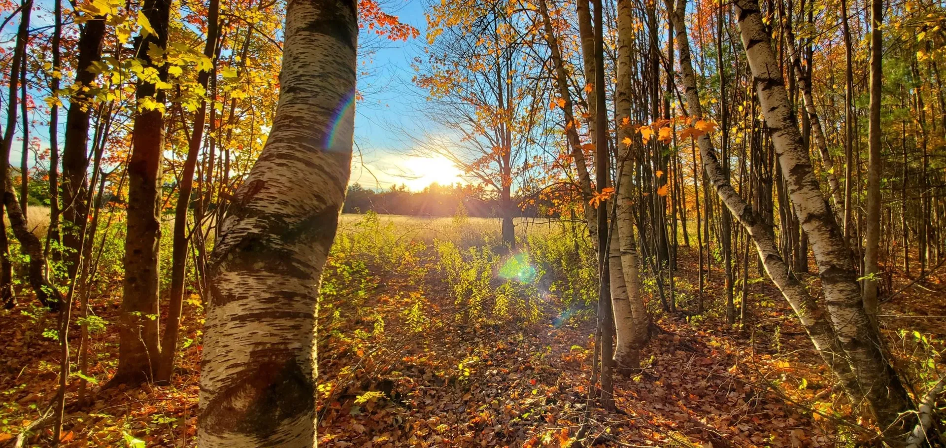 Lot 5-5 Tebbetts Road Rochester NH 03867