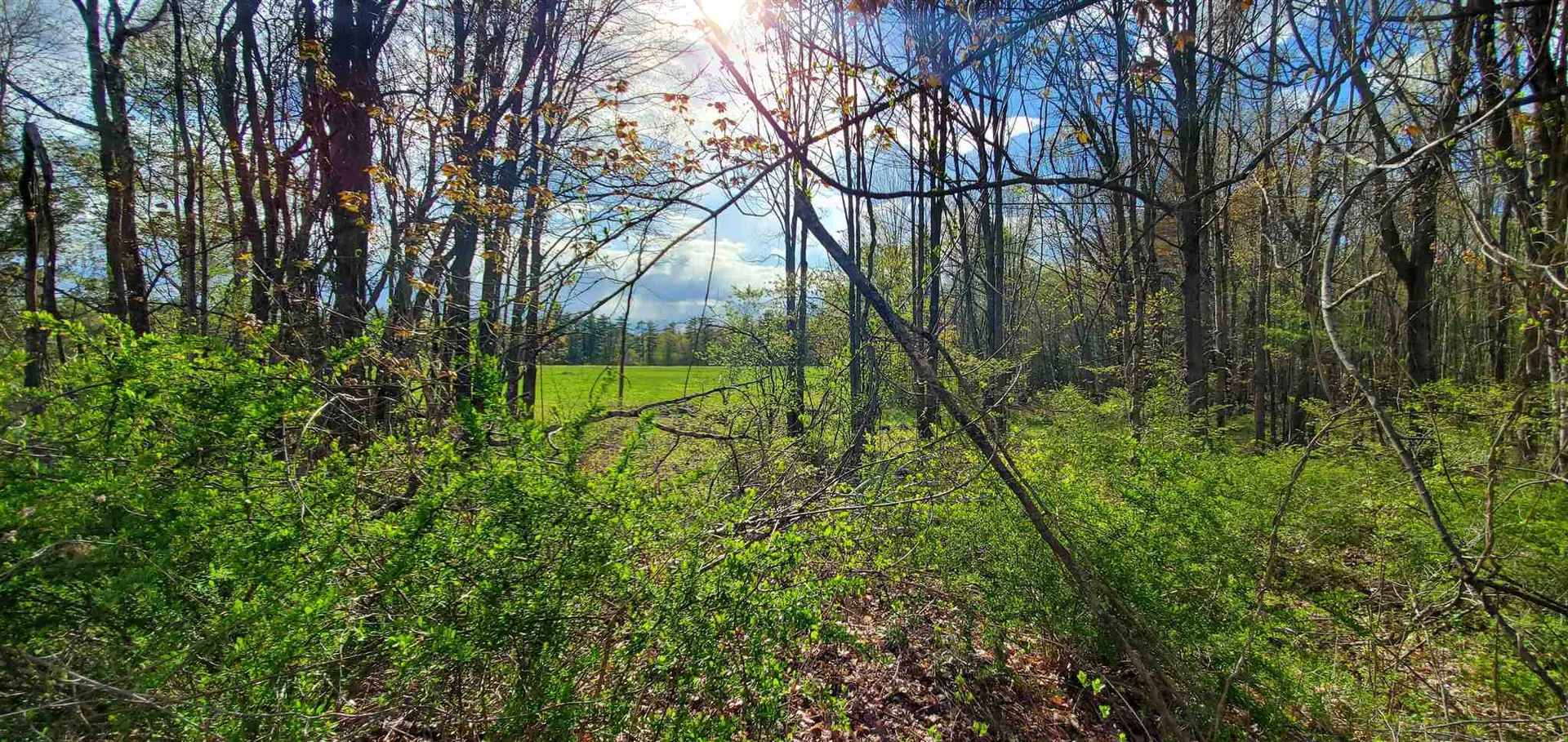 Lot 5-5 Tebbetts Road Rochester NH 03867