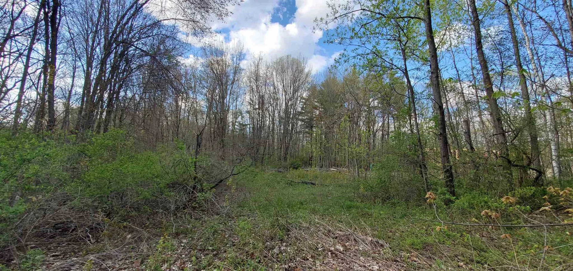 Lot 5-5 Tebbetts Road Rochester NH 03867