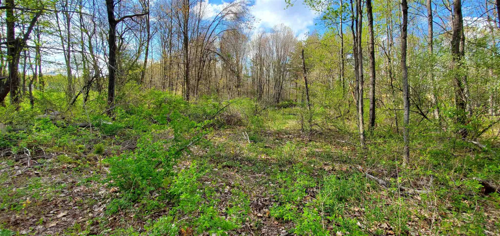 Lot 5-5 Tebbetts Road Rochester NH 03867