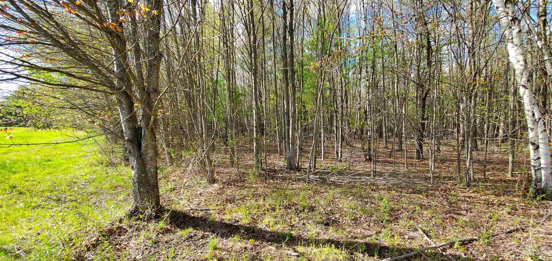Lot 5-5 Tebbetts Road Rochester NH 03867