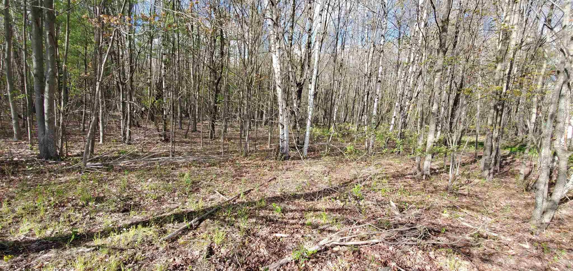 Lot 5-5 Tebbetts Road Rochester NH 03867