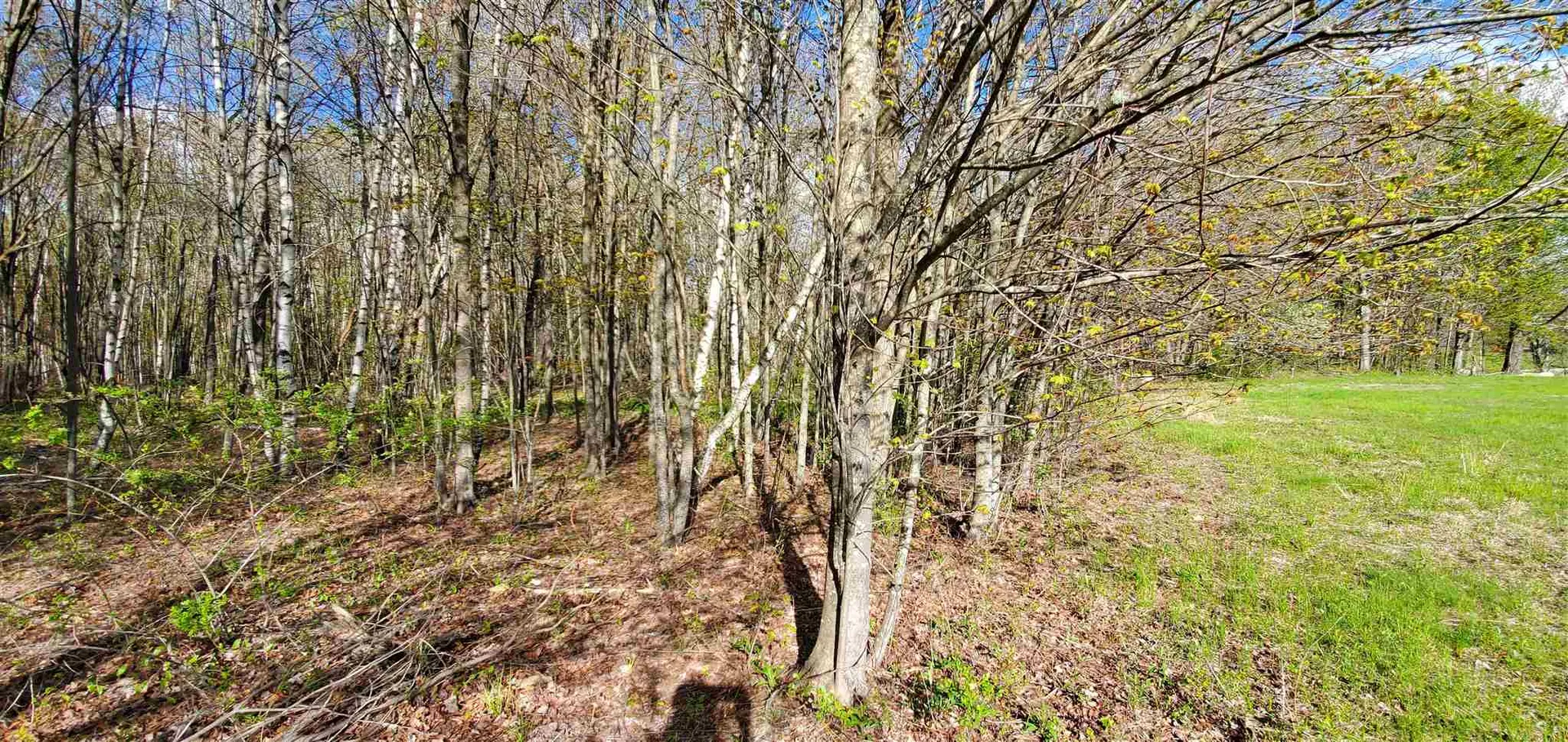 Lot 5-5 Tebbetts Road Rochester NH 03867