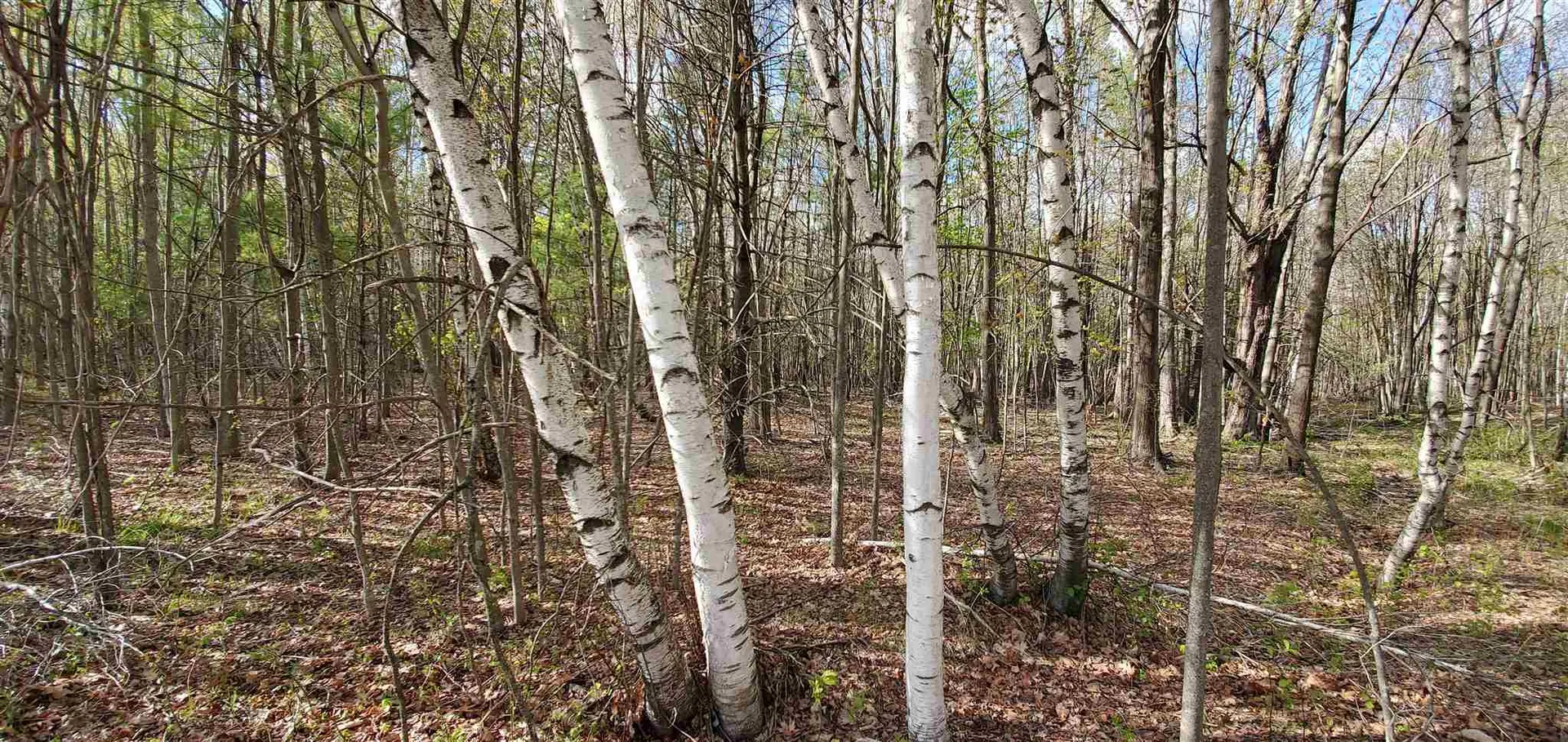 Lot 5-5 Tebbetts Road Rochester NH 03867