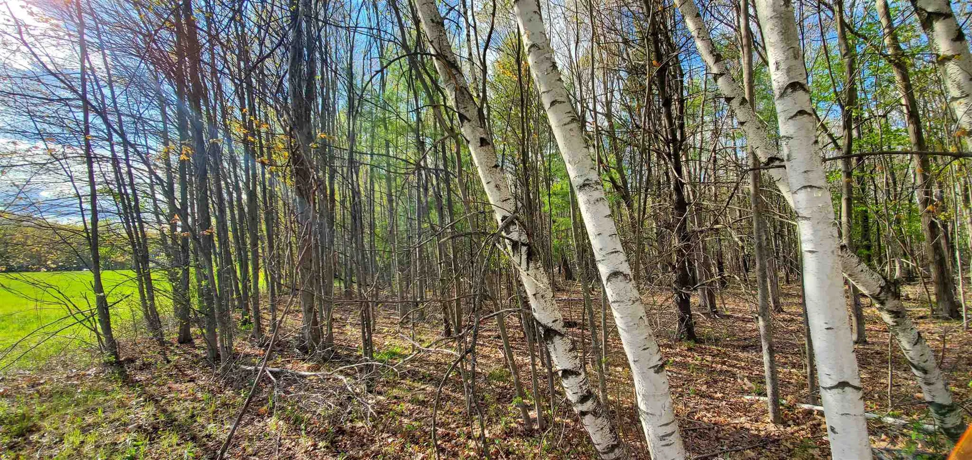 Lot 5-5 Tebbetts Road Rochester NH 03867