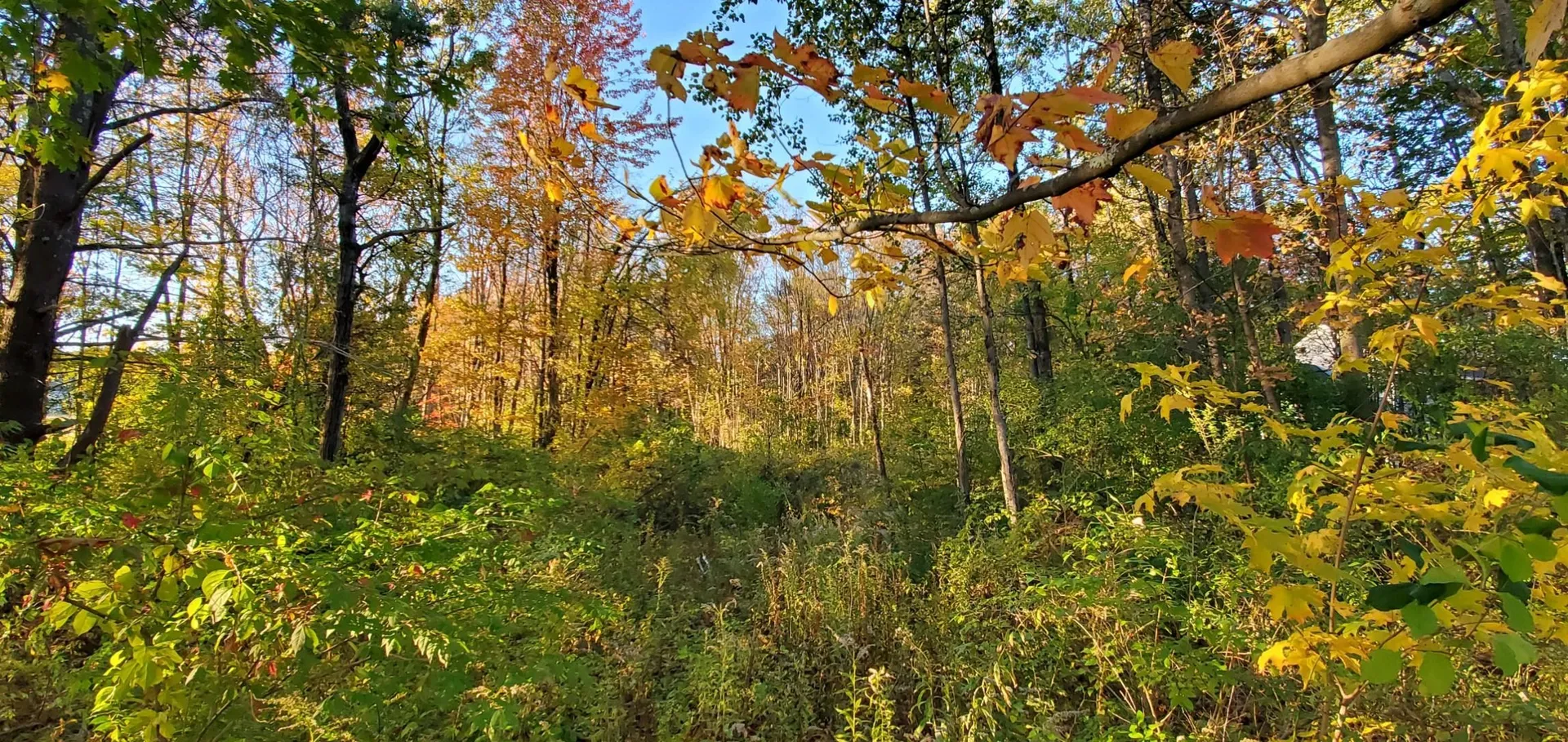 Lot 5-5 Tebbetts Road Rochester NH 03867