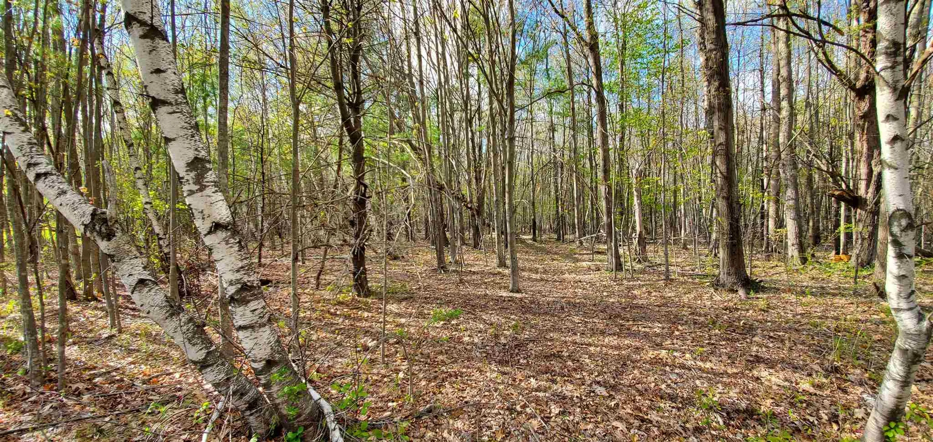 Lot 5-5 Tebbetts Road Rochester NH 03867