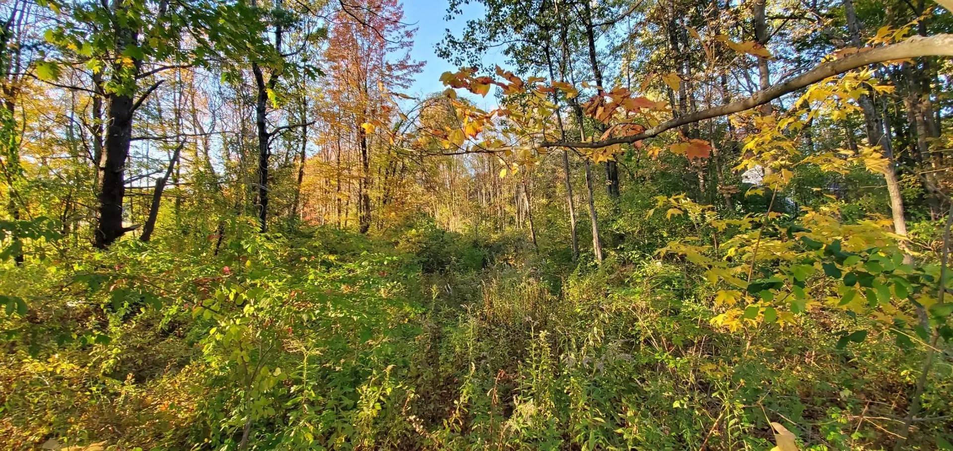 Lot 5-5 Tebbetts Road Rochester NH 03867