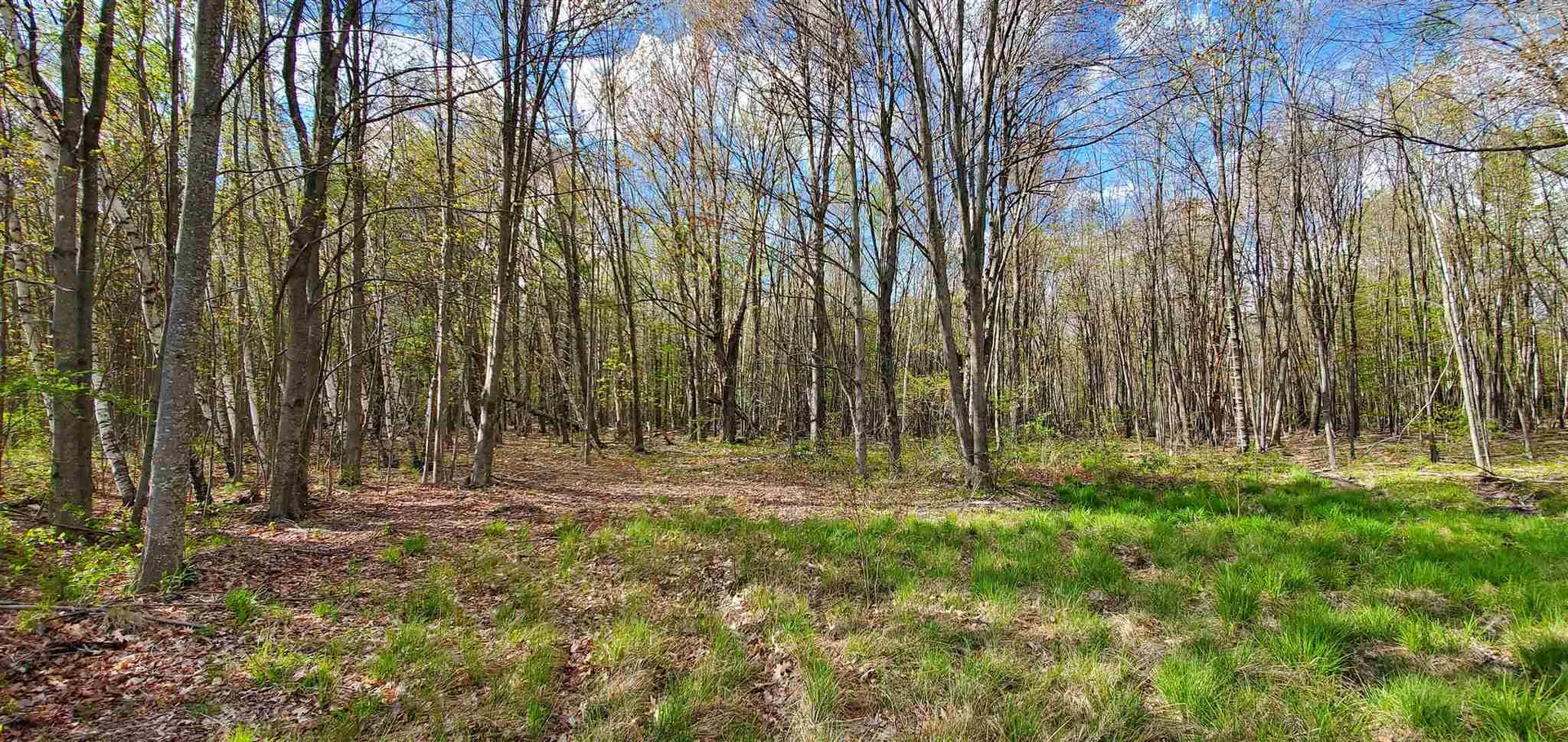 Lot 5-5 Tebbetts Road Rochester NH 03867