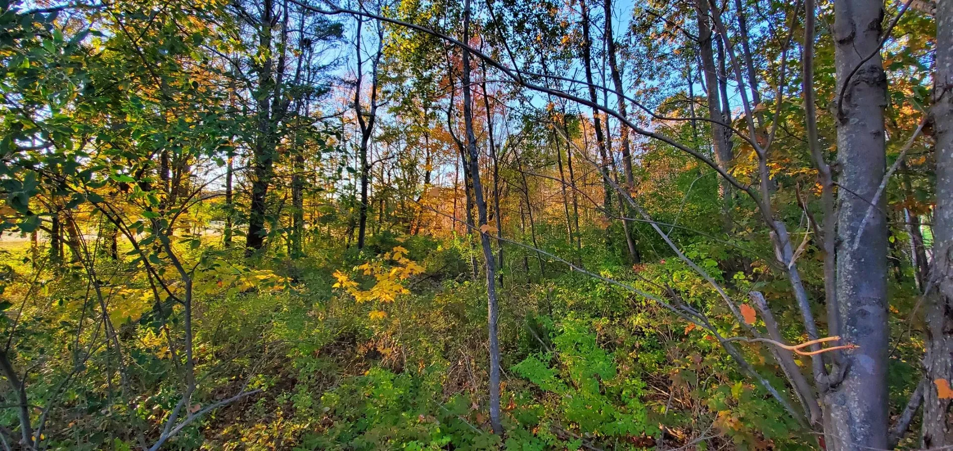 Lot 5-5 Tebbetts Road Rochester NH 03867