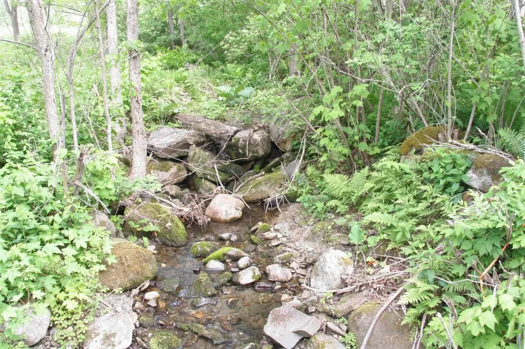 1590 Coppermine Road Monroe NH 03771