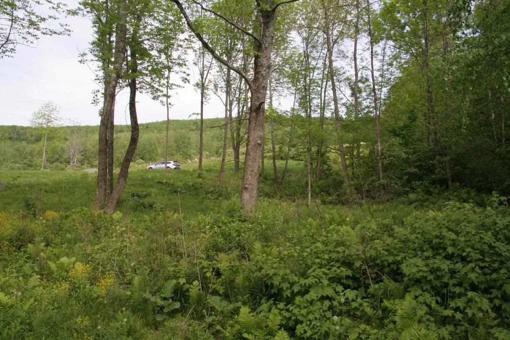 1590 Coppermine Road Monroe NH 03771