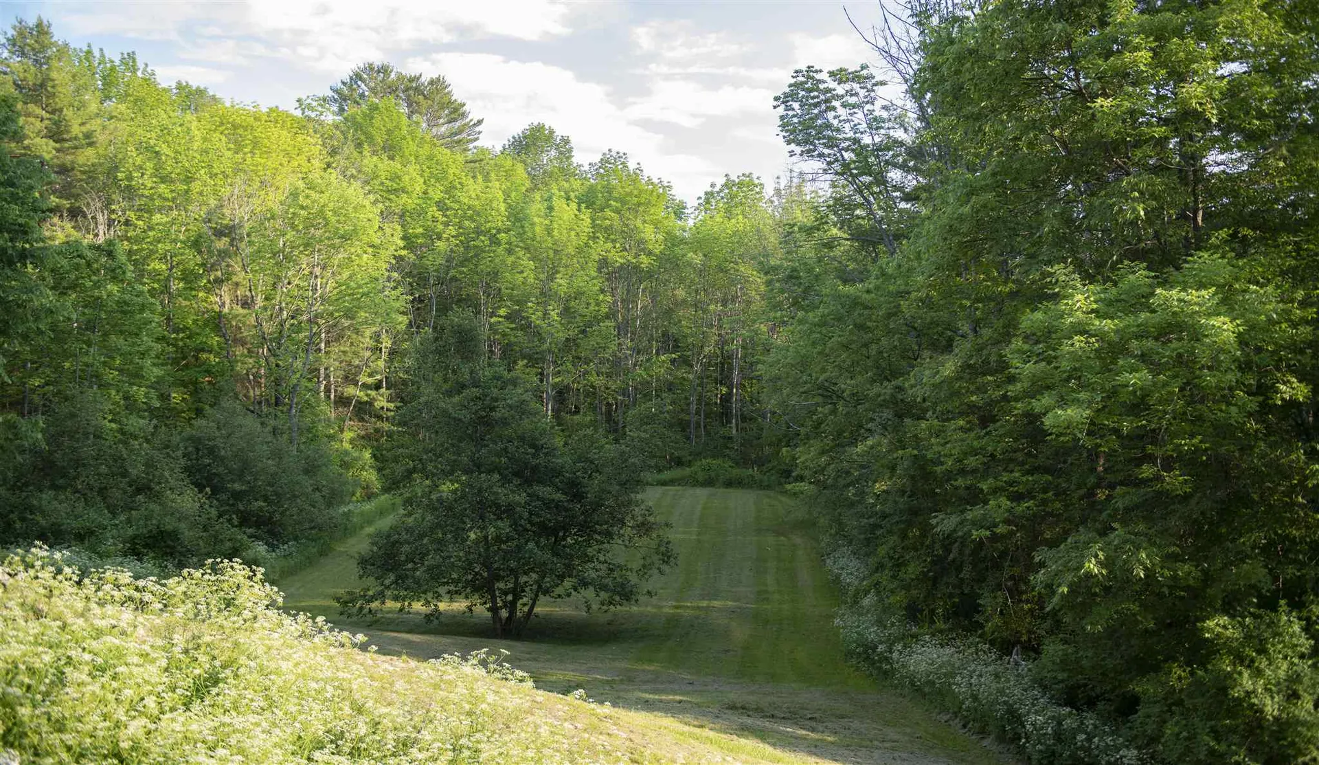 170 Thorn Apple Lane Hartford VT 05059
