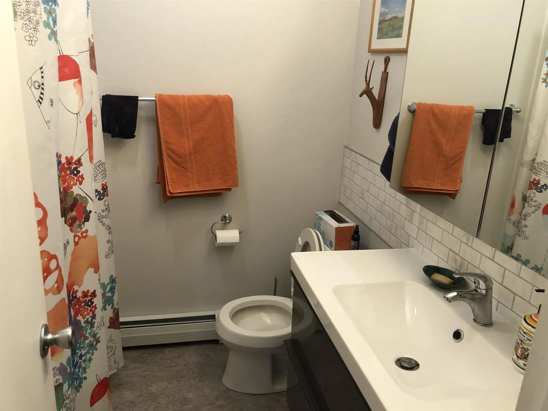 3 Birchwood Park Drive Barre Town VT 05641
