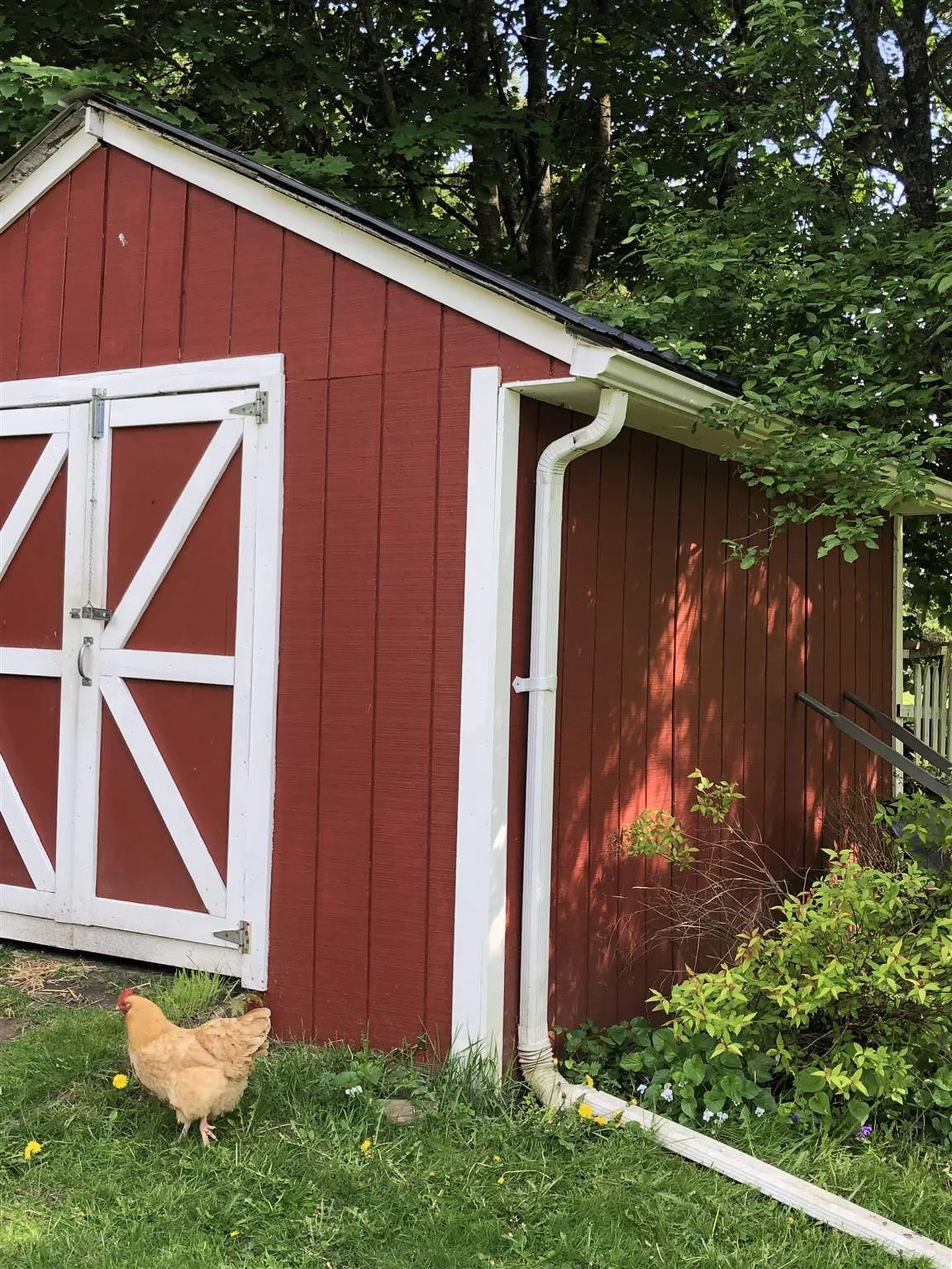 3 Birchwood Park Drive Barre Town VT 05641