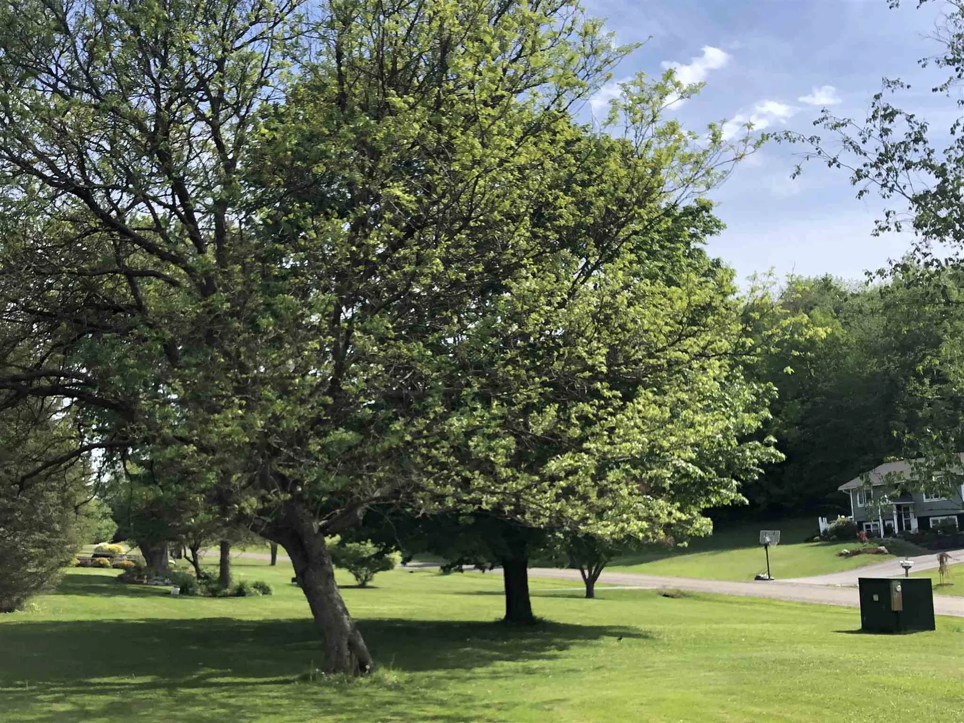 3 Birchwood Park Drive Barre Town VT 05641