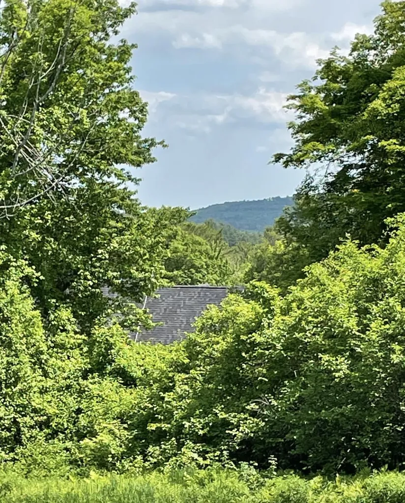 319 Burpee Hill Road New London NH 03257