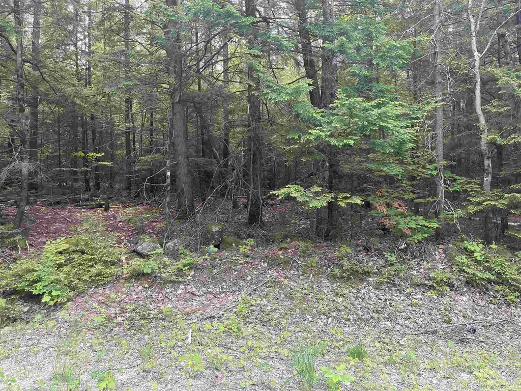 Map 9/lot43-3-1 Leightons Corner Road Strafford NH 03884