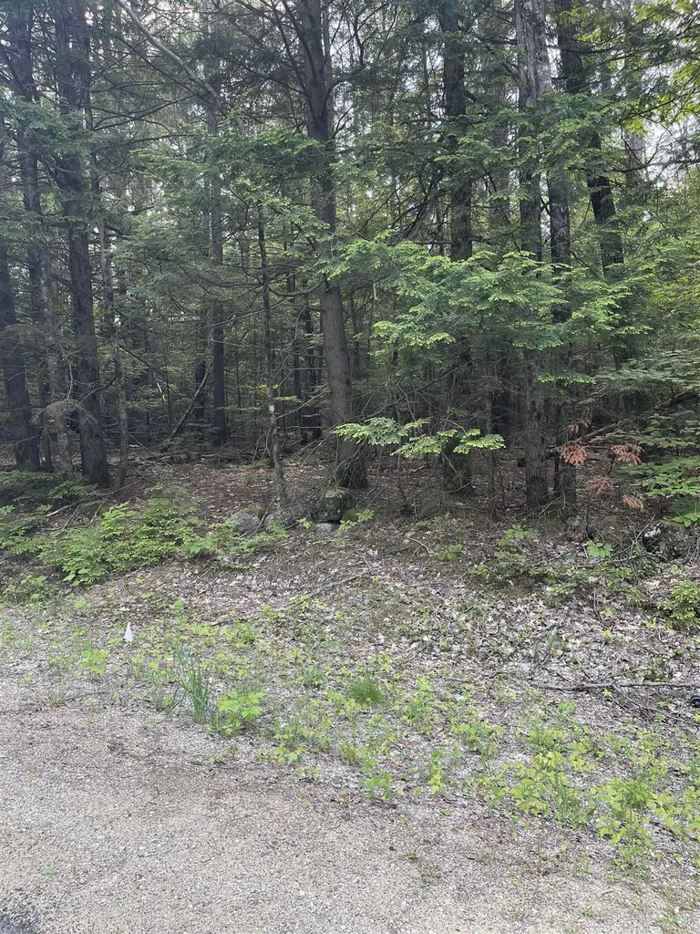 Map 9/lot43-3-1 Leightons Corner Road Strafford NH 03884