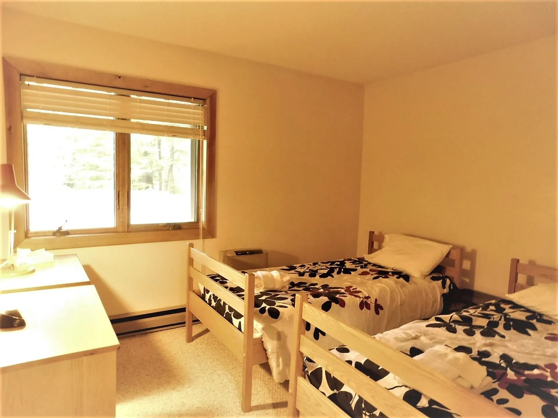 27 Rams Horn Drive Lincoln NH 03251