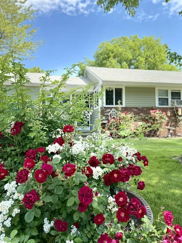 50 Seames Drive Manchester NH 03103