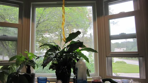 1142 Western Avenue Brattleboro VT 05301