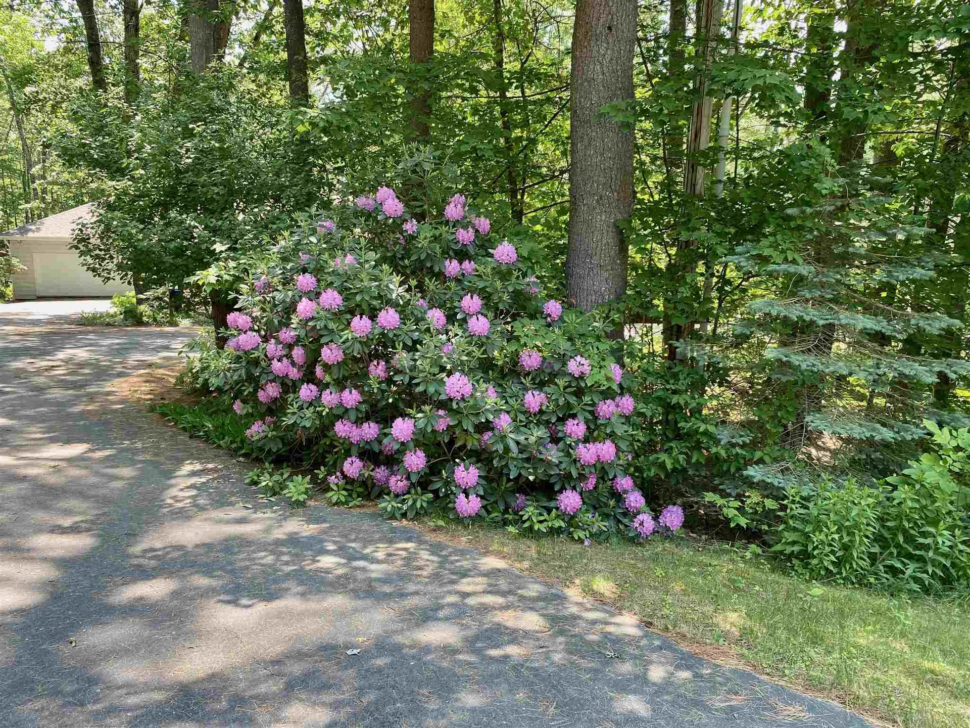 26 Robin Acres Drive Wolfeboro NH 03894