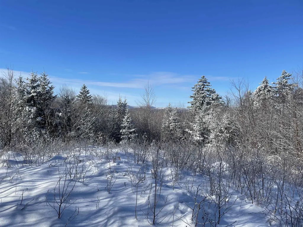 1500 Andover Ridge Road Andover VT 05143