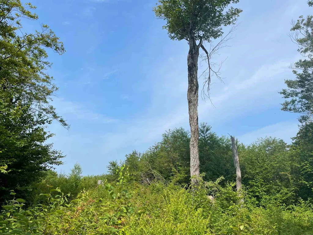 1500 Andover Ridge Road Andover VT 05143