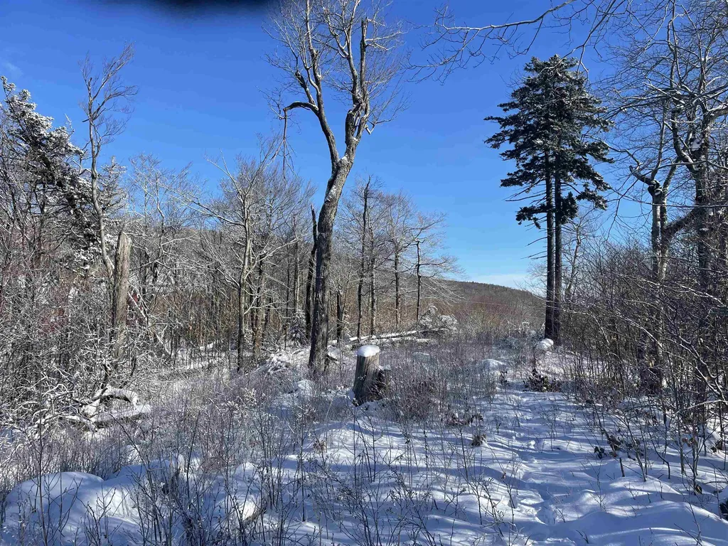 1500 Andover Ridge Road Andover VT 05143
