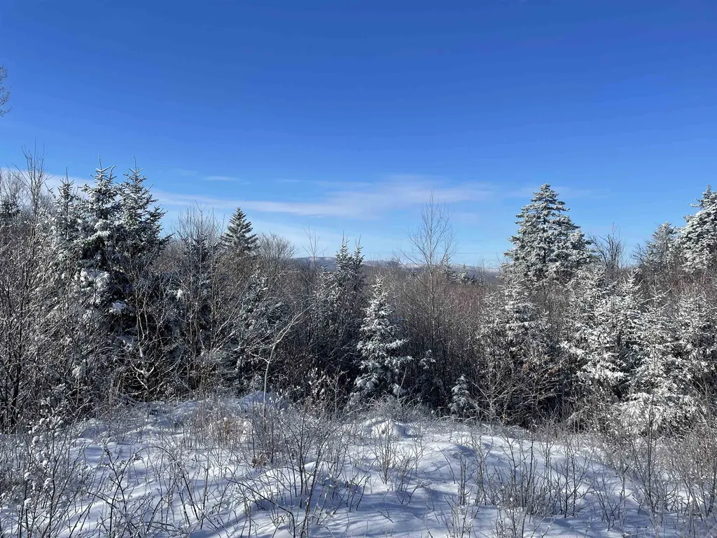 1500 Andover Ridge Road Andover VT 05143