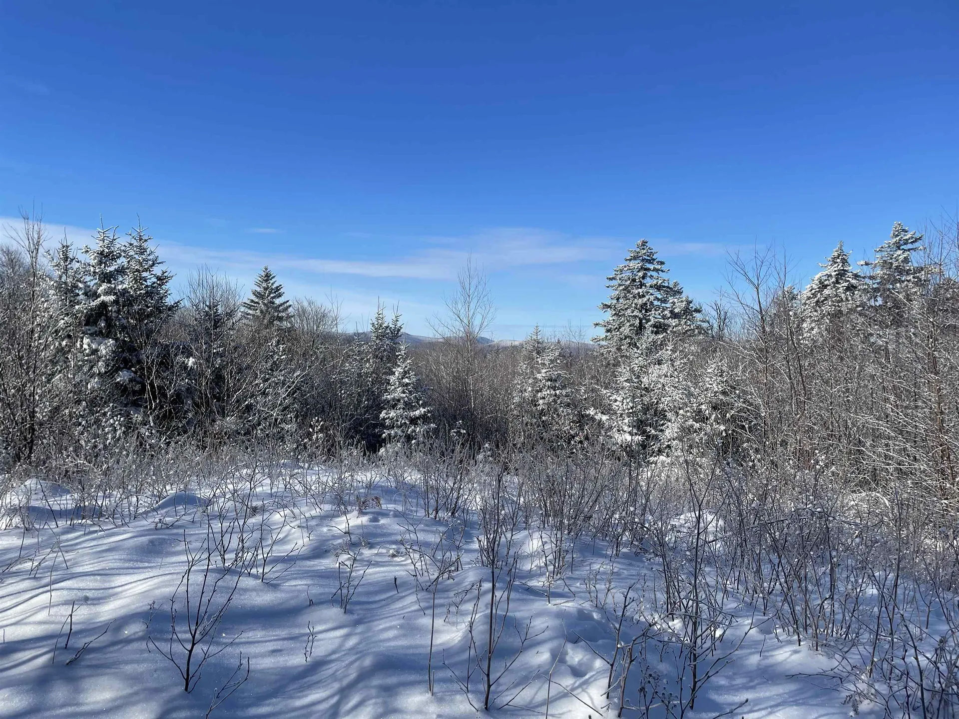 1500 Andover Ridge Road Andover VT 05143