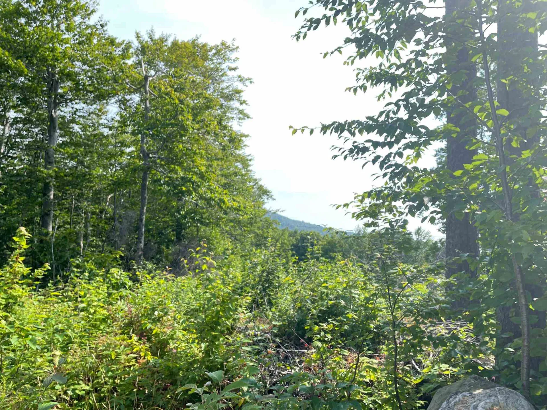 1500 Andover Ridge Road Andover VT 05143