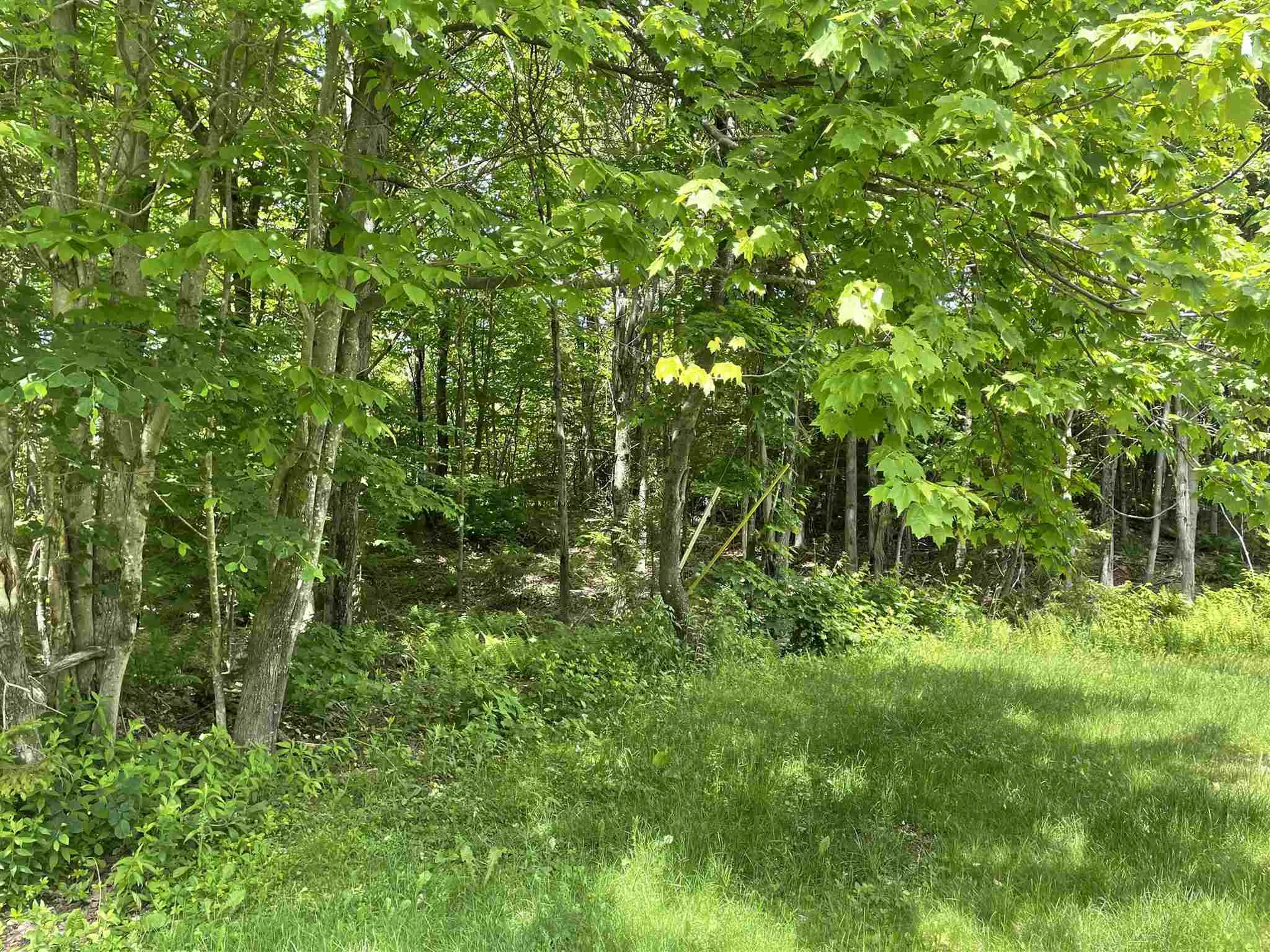 1500 Andover Ridge Road Andover VT 05143